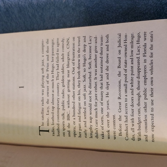 The Whistler - Picture 4 of 4